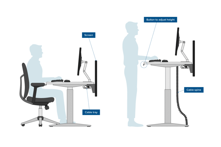 Workplace Ergonomics